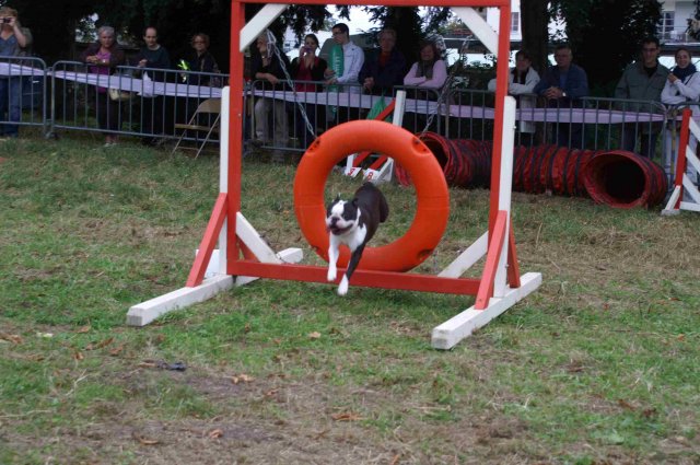 foire-haricots 2011-09-17et18